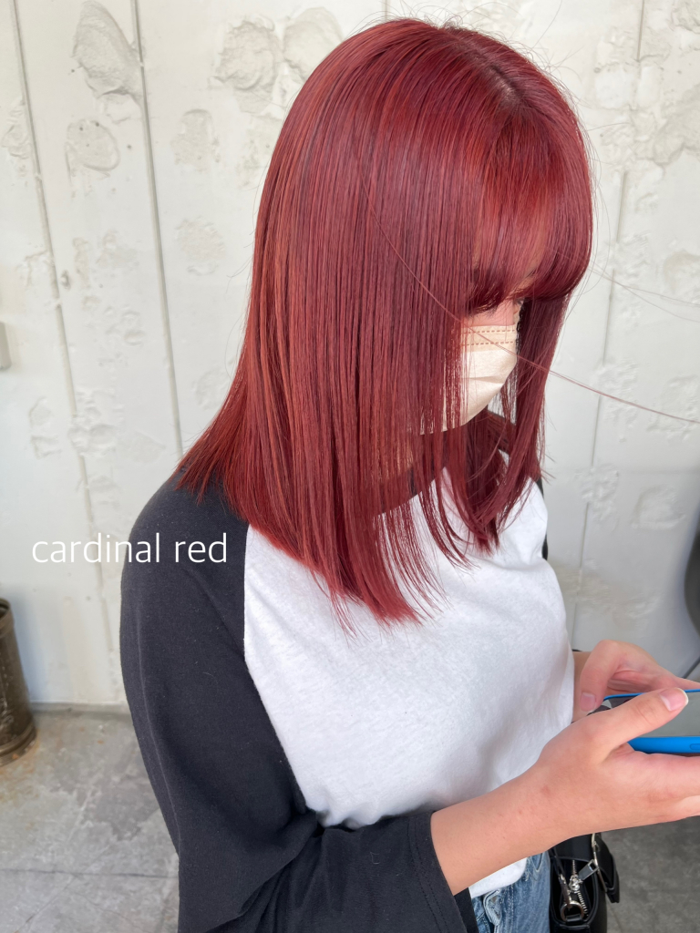 cardinal red（AYANO）